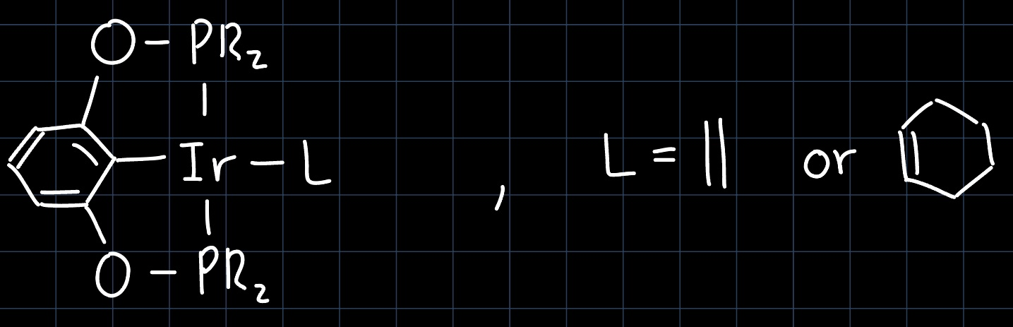 iridium pincer complex